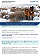 active winter newsletter 2023 thumbnail